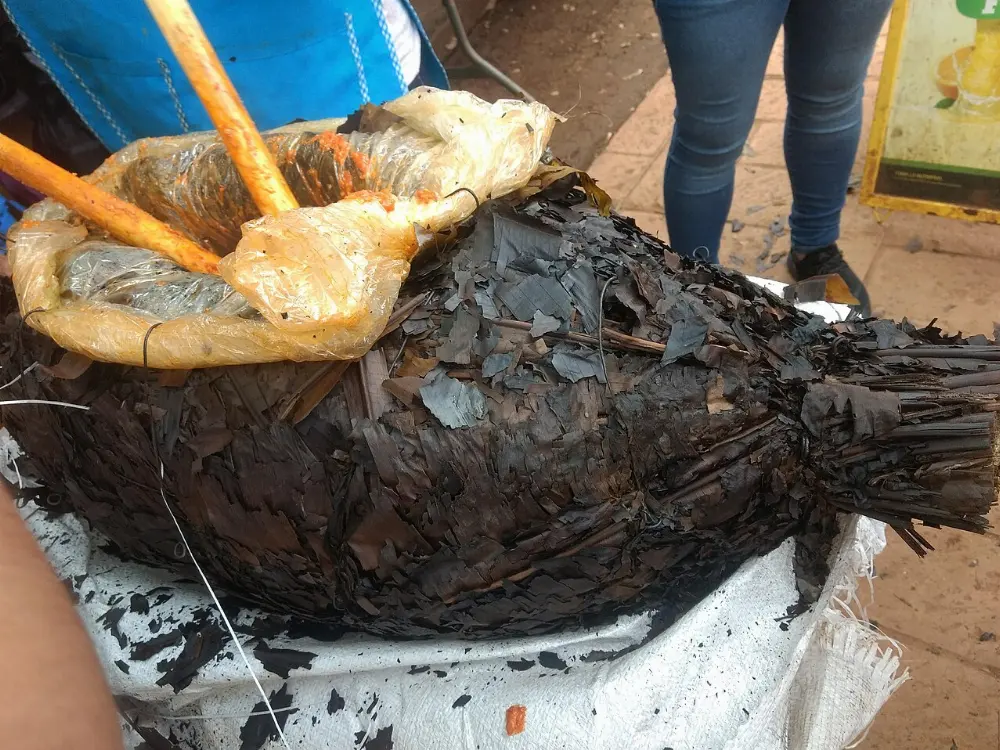 Zacahuil in Huasteca Potosina, San Luis Potosí