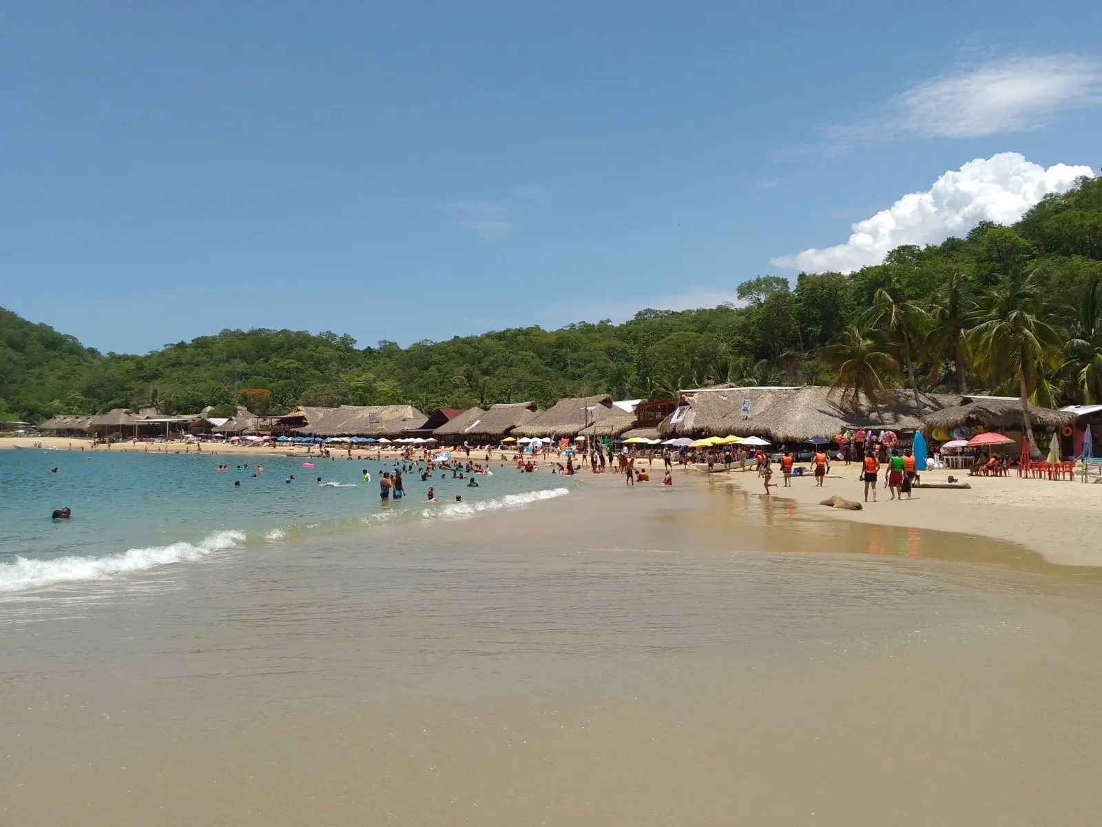 Curved sandy beach of Bahía Maguey framed by tropical forest, Huatulco, Oaxaca