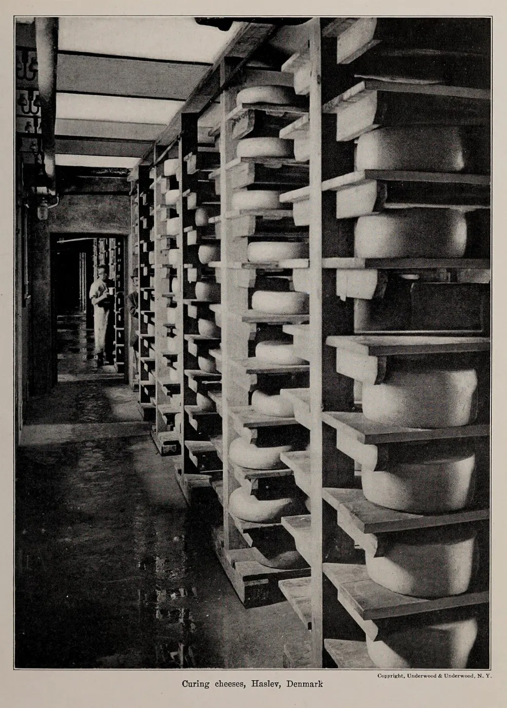 Cheeses in Hudson Valley, New York