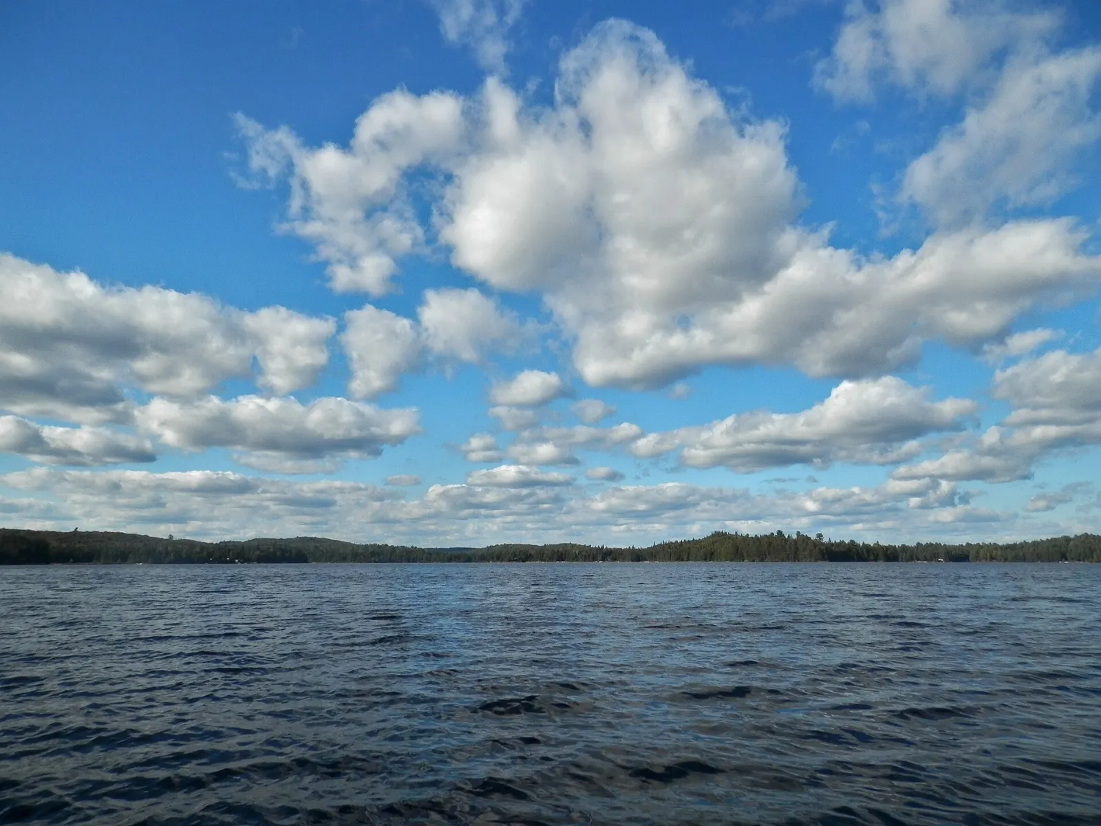 Canoe on a lake in Algonquin Provincial Park, Huntsville, Ontario