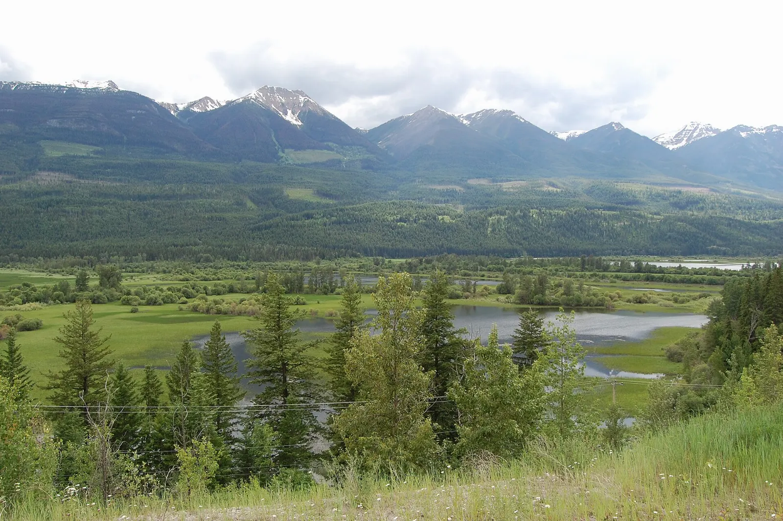 Marsh and open water of the Columbia Wetlands near Invermere, British Columbia