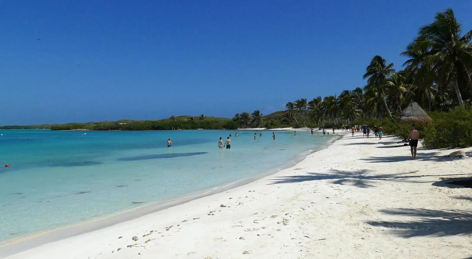 Isla Contoy, Quintana Roo, Mexico
