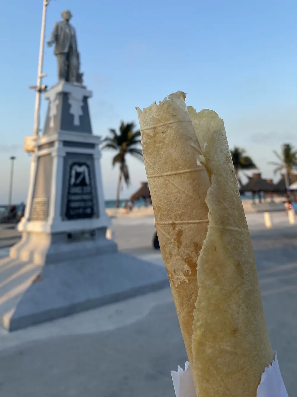 Marquesita in Isla Contoy, Quintana Roo