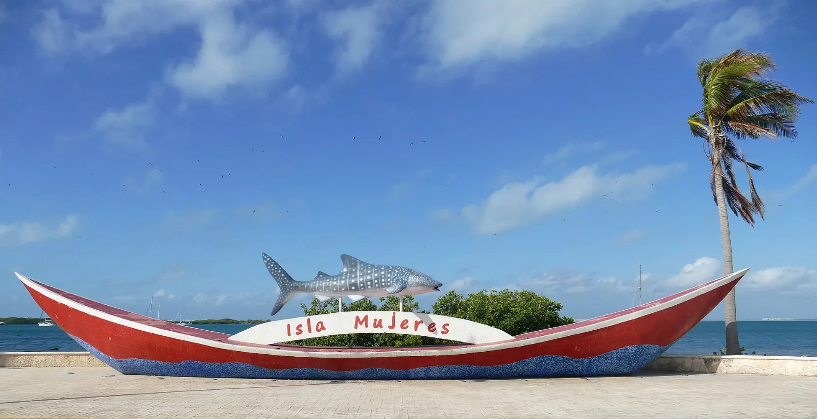 Isla Mujeres Whale Shark Tours, Isla Mujeres, Quintana Roo, Mexico