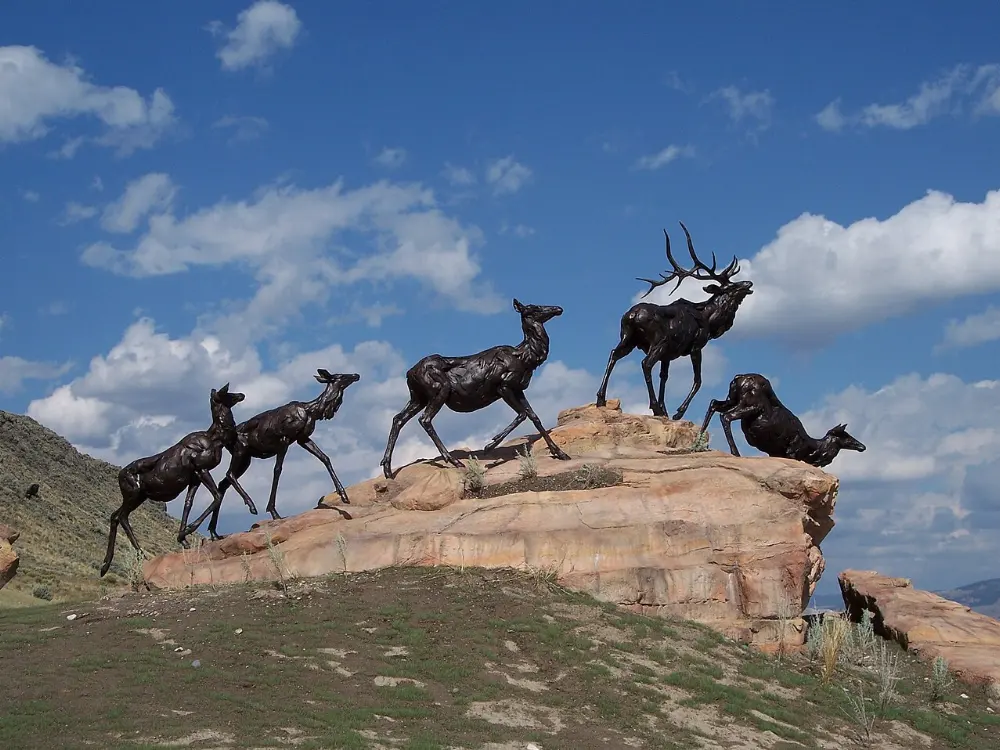 Elk in Jackson Hole, Wyoming