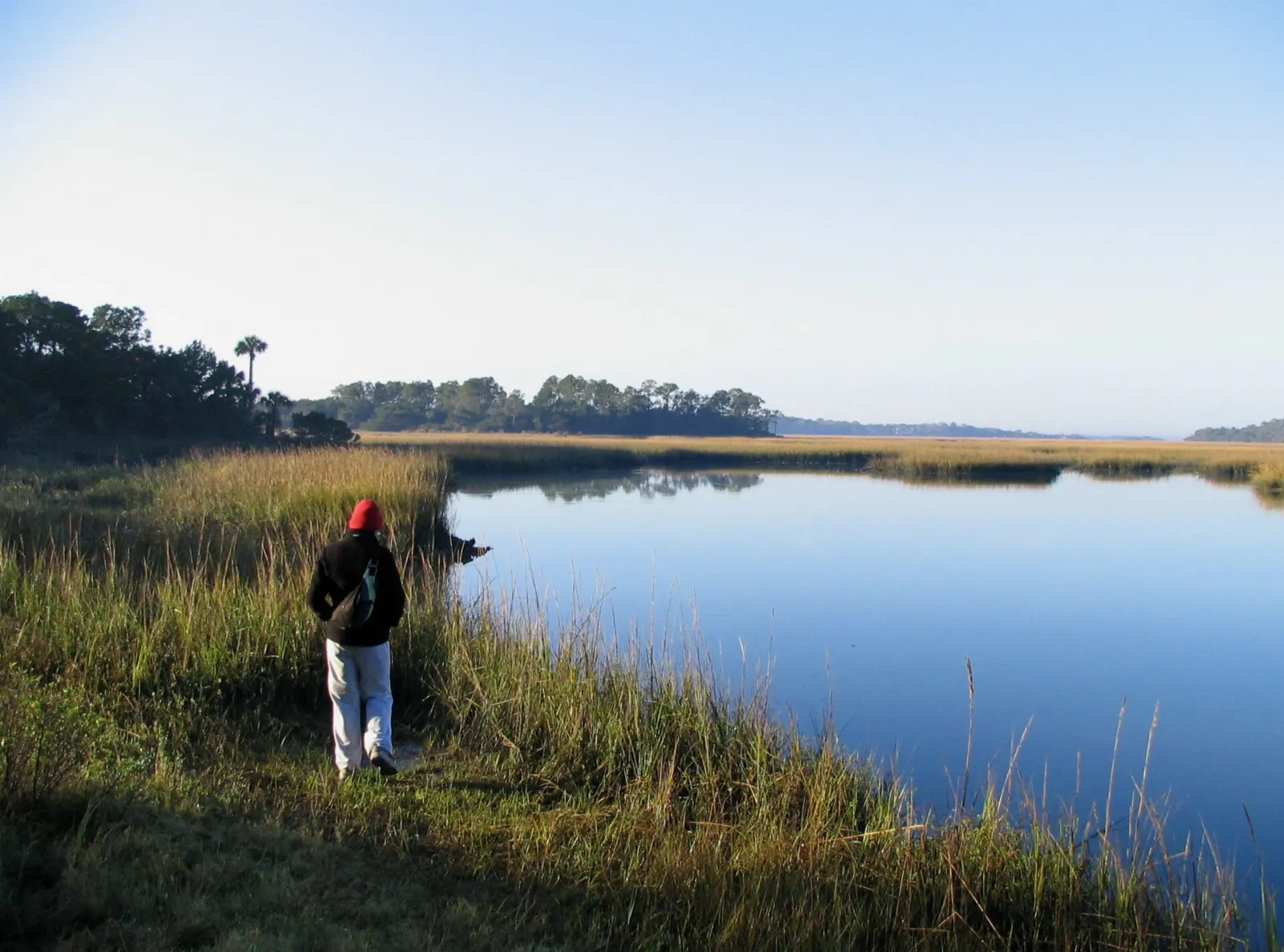 Beach on Little Talbot Island, Jacksonville, Florida