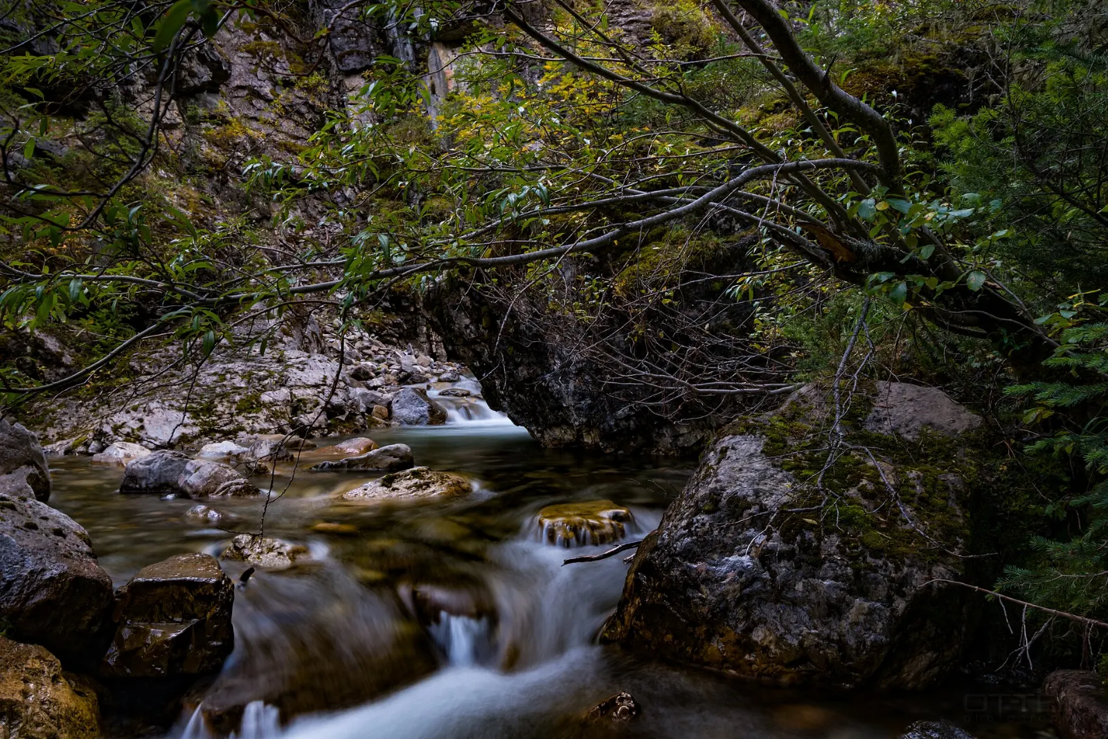 An outdoor pool at Miette Hot Springs in a forested valley, Jasper National Park, Alberta