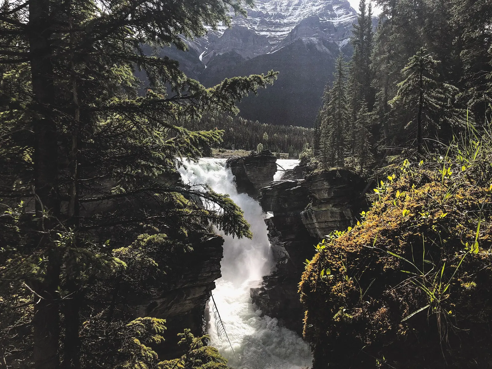 The Athabasca River pouring through a narrow rock gorge at Athabasca Falls, Jasper National Park, Alberta