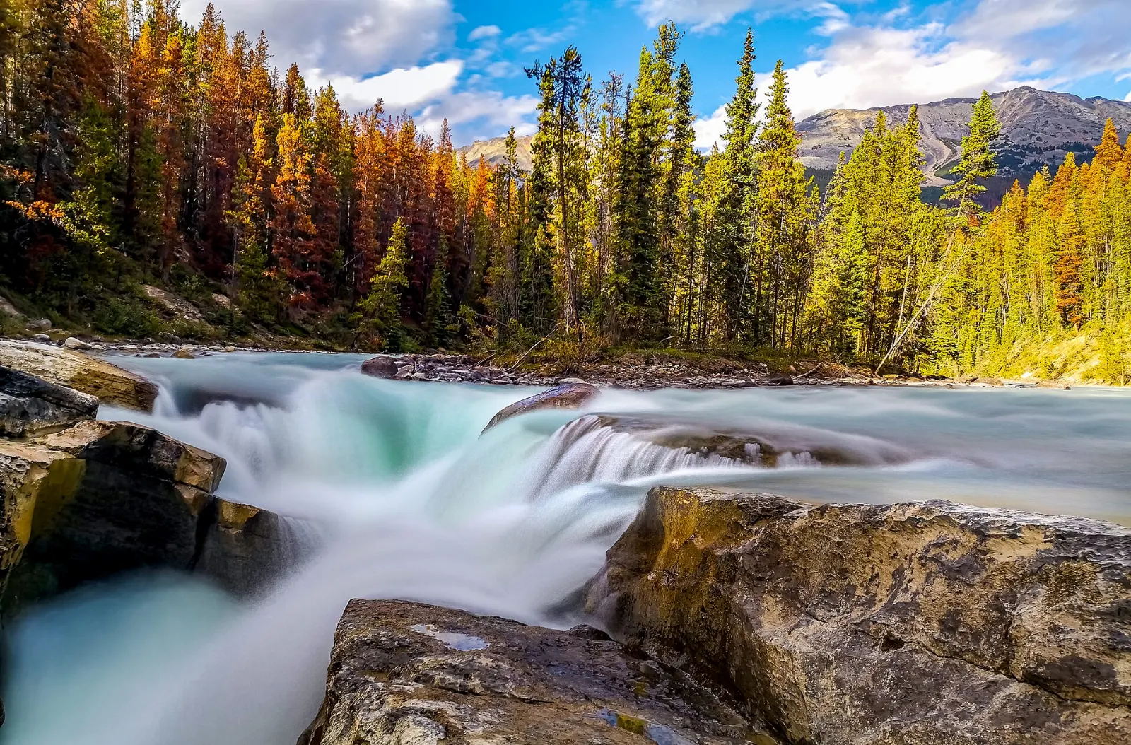 Water from the Sunwapta River dropping into a forested canyon, Jasper National Park, Alberta
