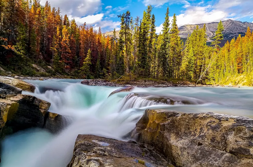 Sunwapta Falls, Jasper National Park, Alberta