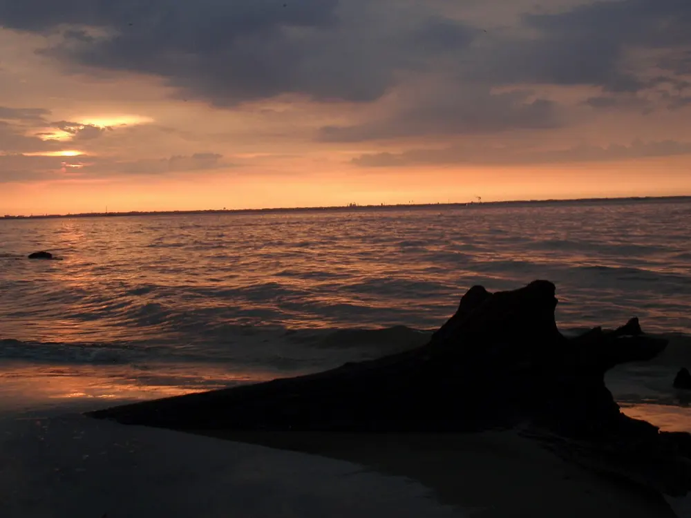 Driftwood Beach, Jekyll Island, Georgia