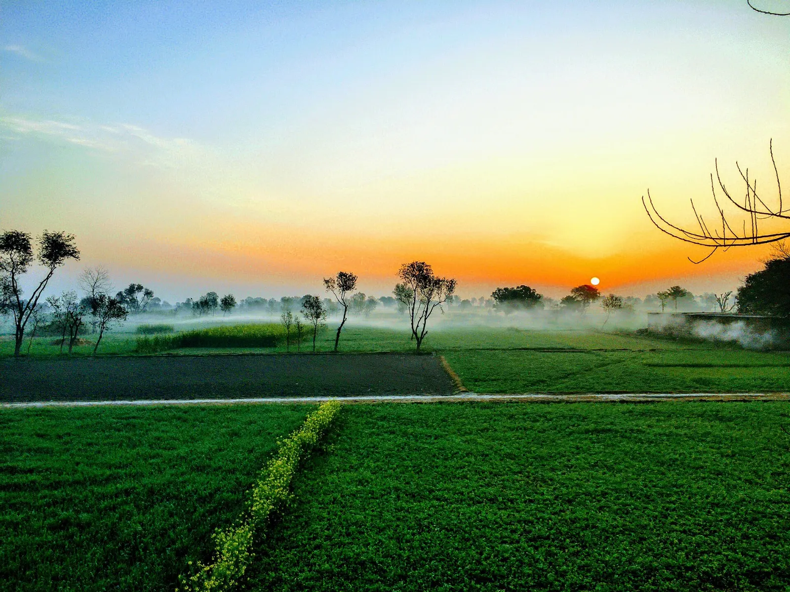 Farmland in rural Punjab, Jhang, Pakistan
