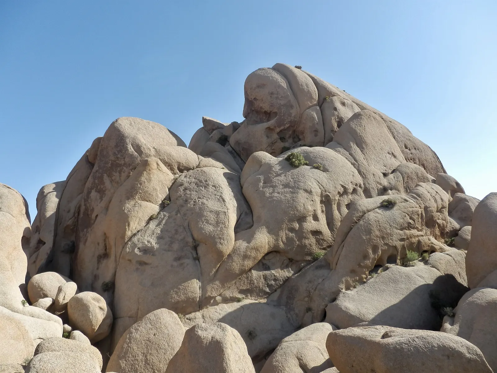 A granite boulder with two hollow eye sockets that resembles a skull, Joshua Tree National Park, California