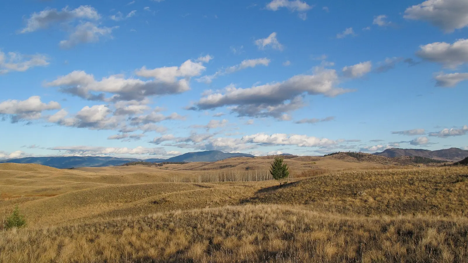 Open grassland and rolling hills in Lac du Bois Grasslands Protected Area, Kamloops, British Columbia