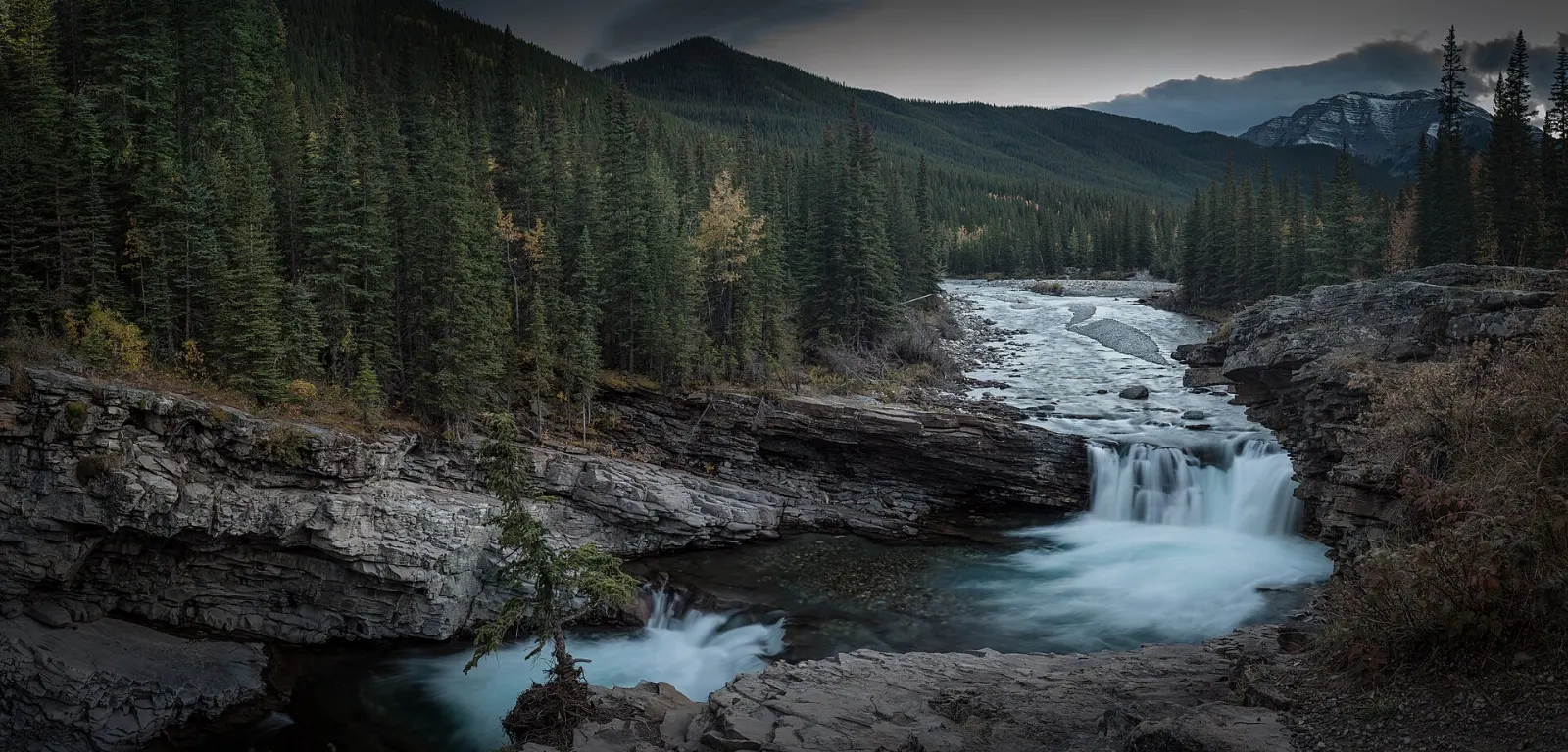 Bighorn sheep and river valley in Sheep River Provincial Park, Kananaskis Country, Alberta