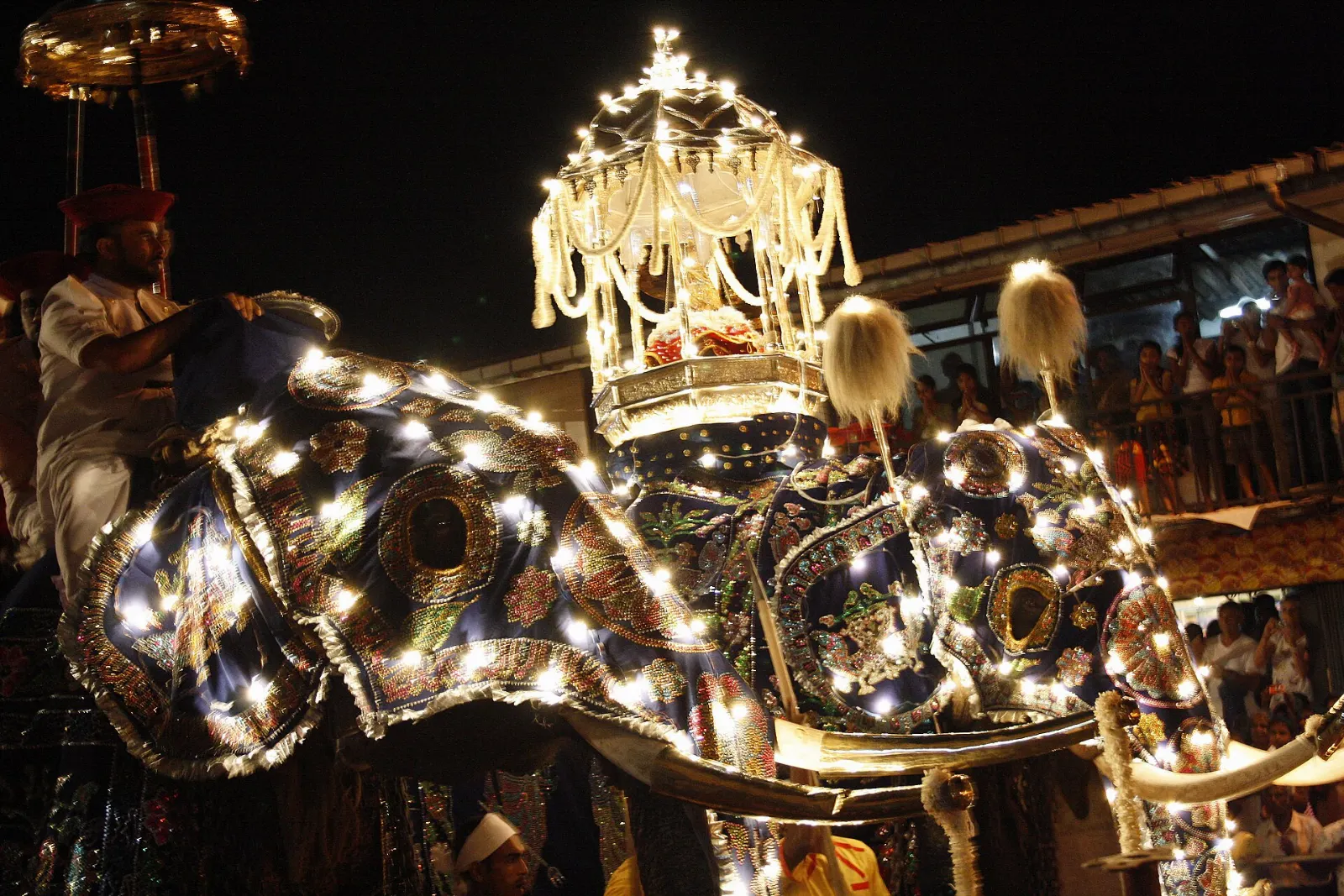 Decorated elephant in glowing costume leading a night procession in Kandy, Sri Lanka