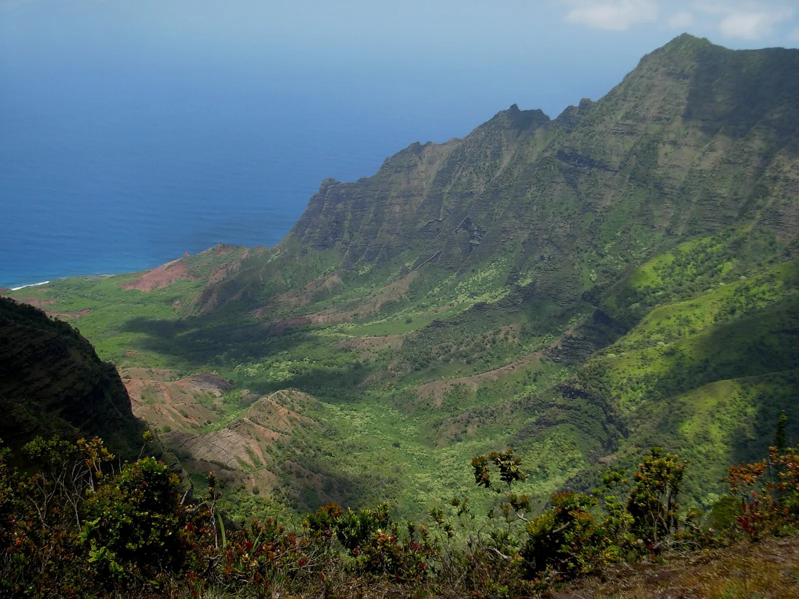 View from Kalalau Lookout down into a deep green valley toward the ocean, Kauai, Hawaii