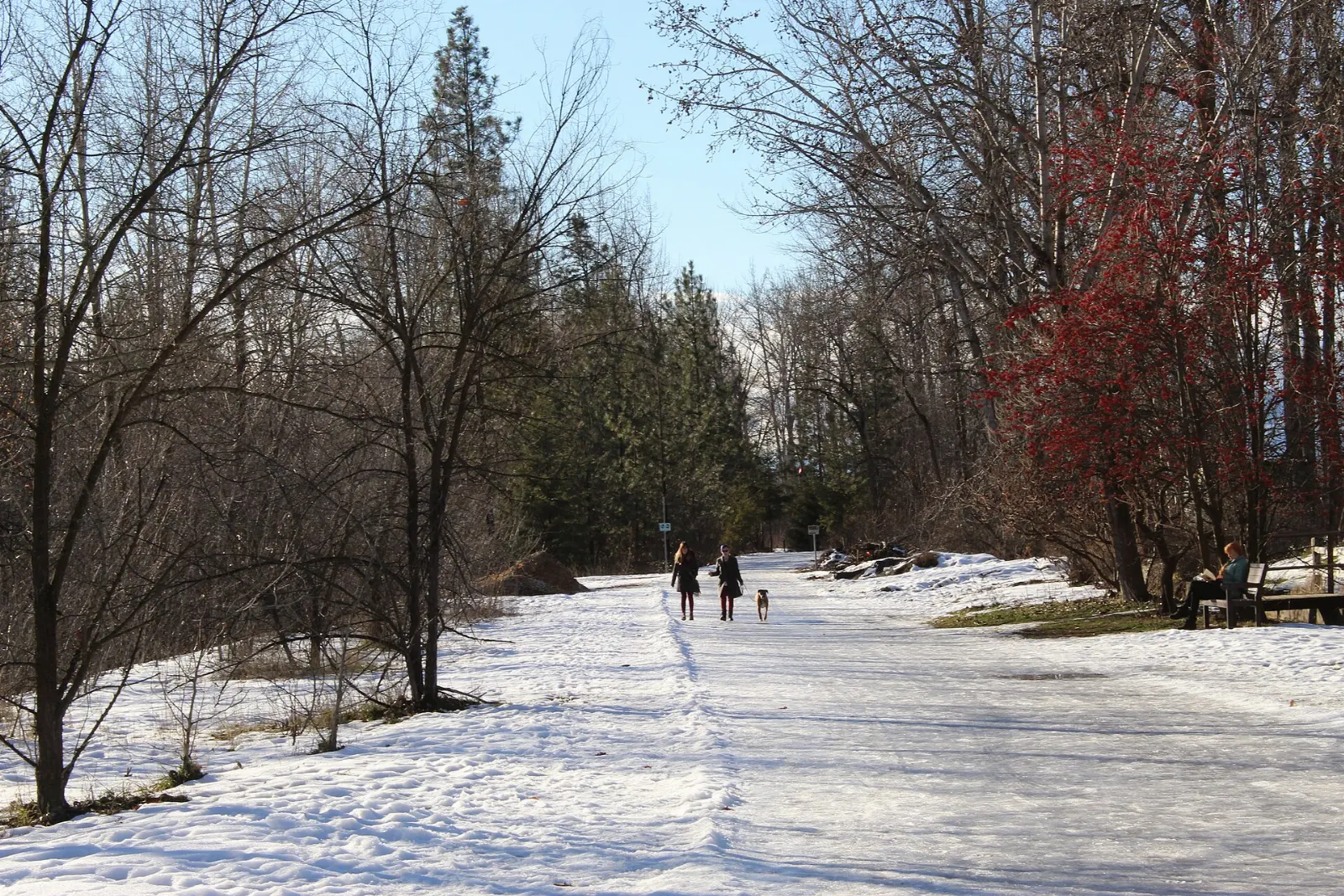 Creekside trail through Mission Creek Regional Park, Kelowna, British Columbia