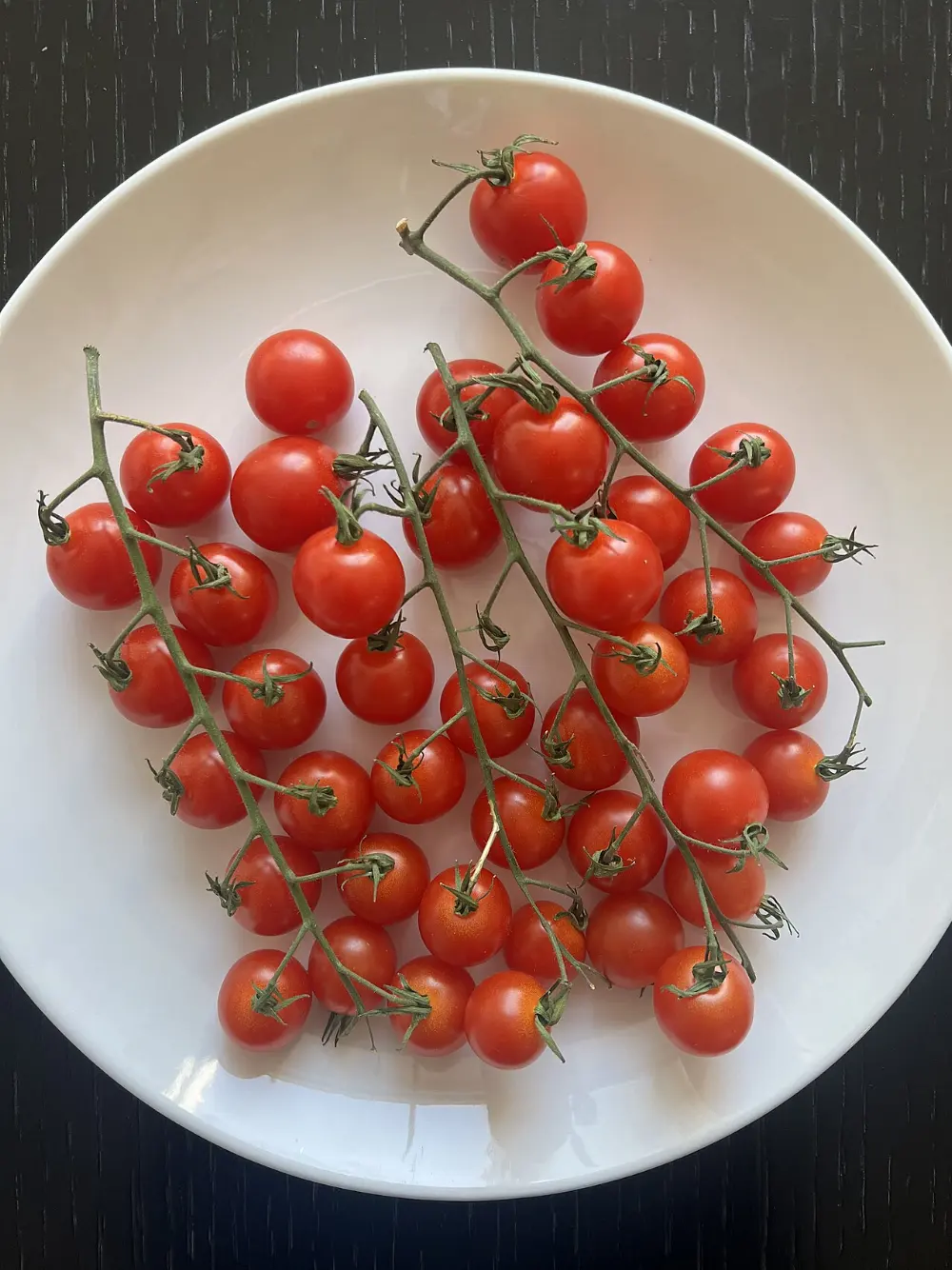 Fresh cherries in Kelowna, British Columbia