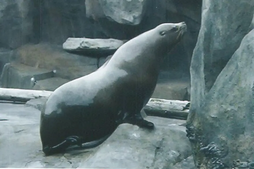 Alaska SeaLife Center, Kenai Fjords National Park