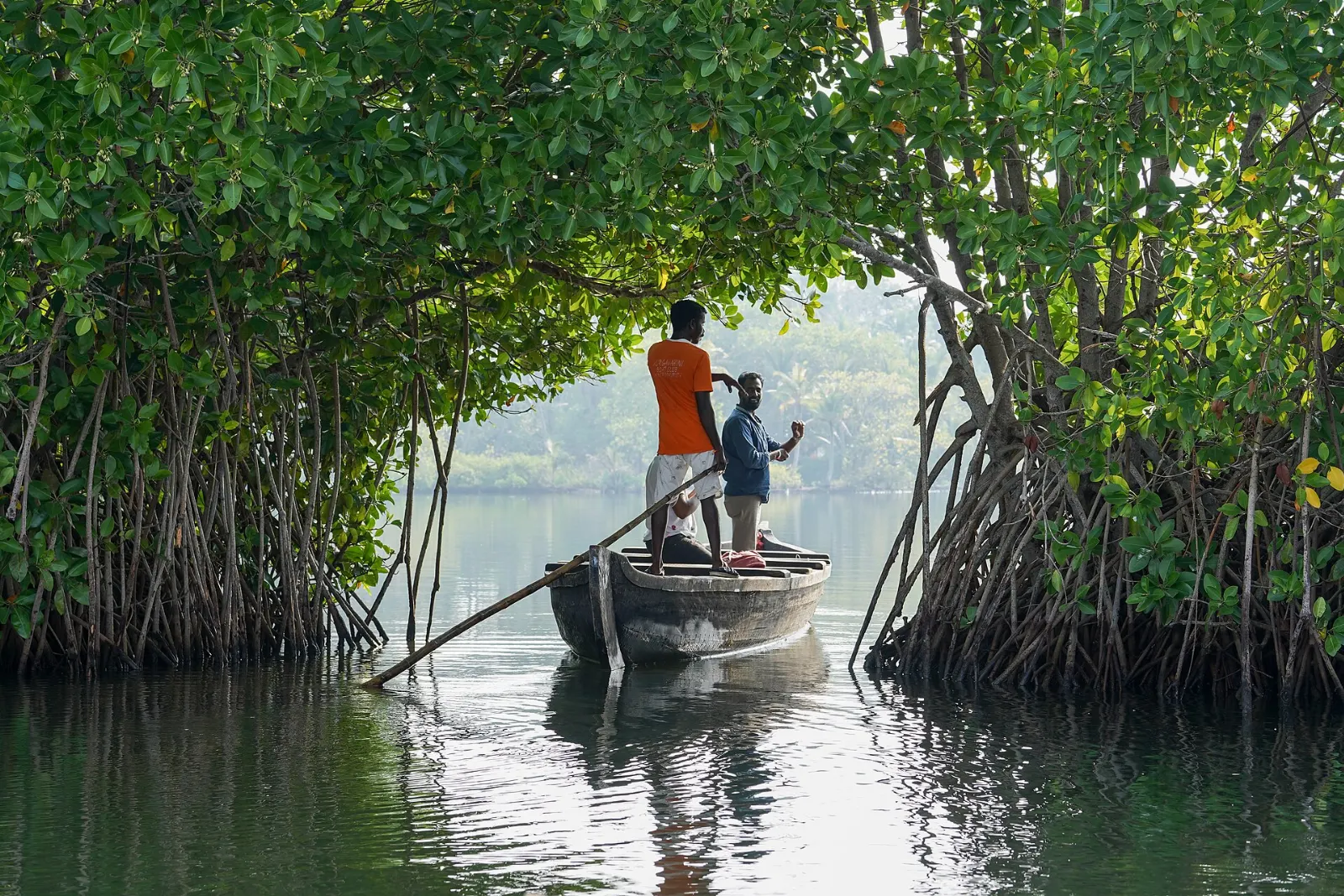 Ashtamudi Lake, Kerala Backwaters, India