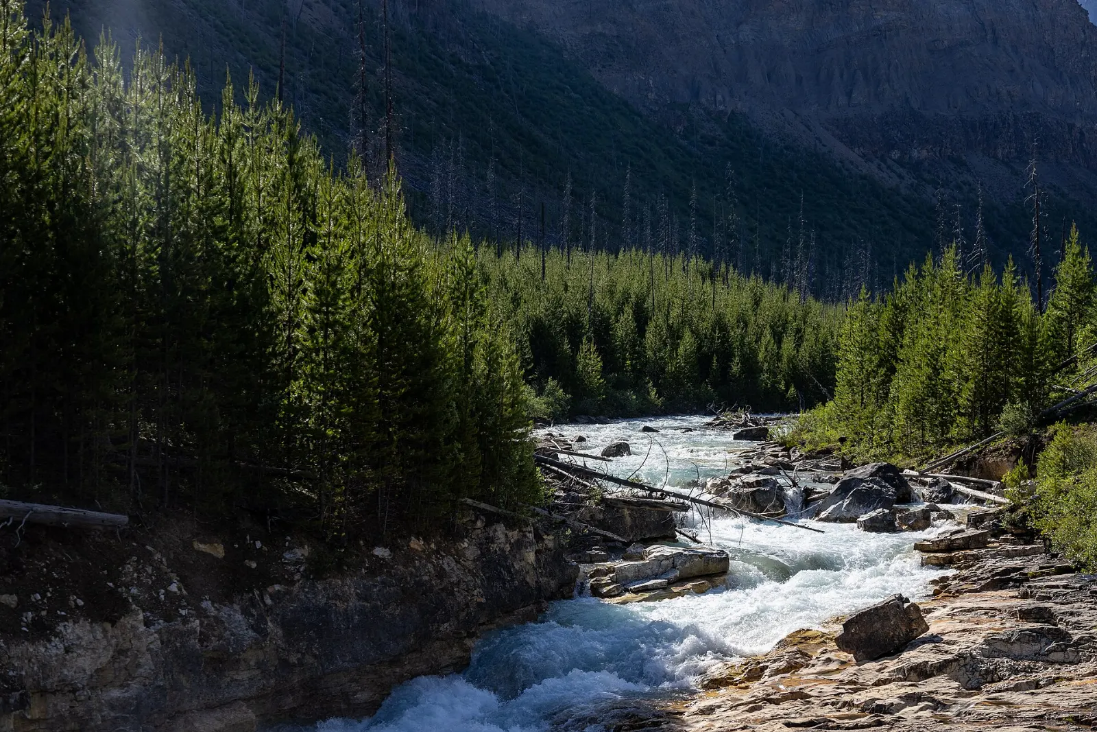 A narrow canyon with a stream in Kootenay National Park, British Columbia
