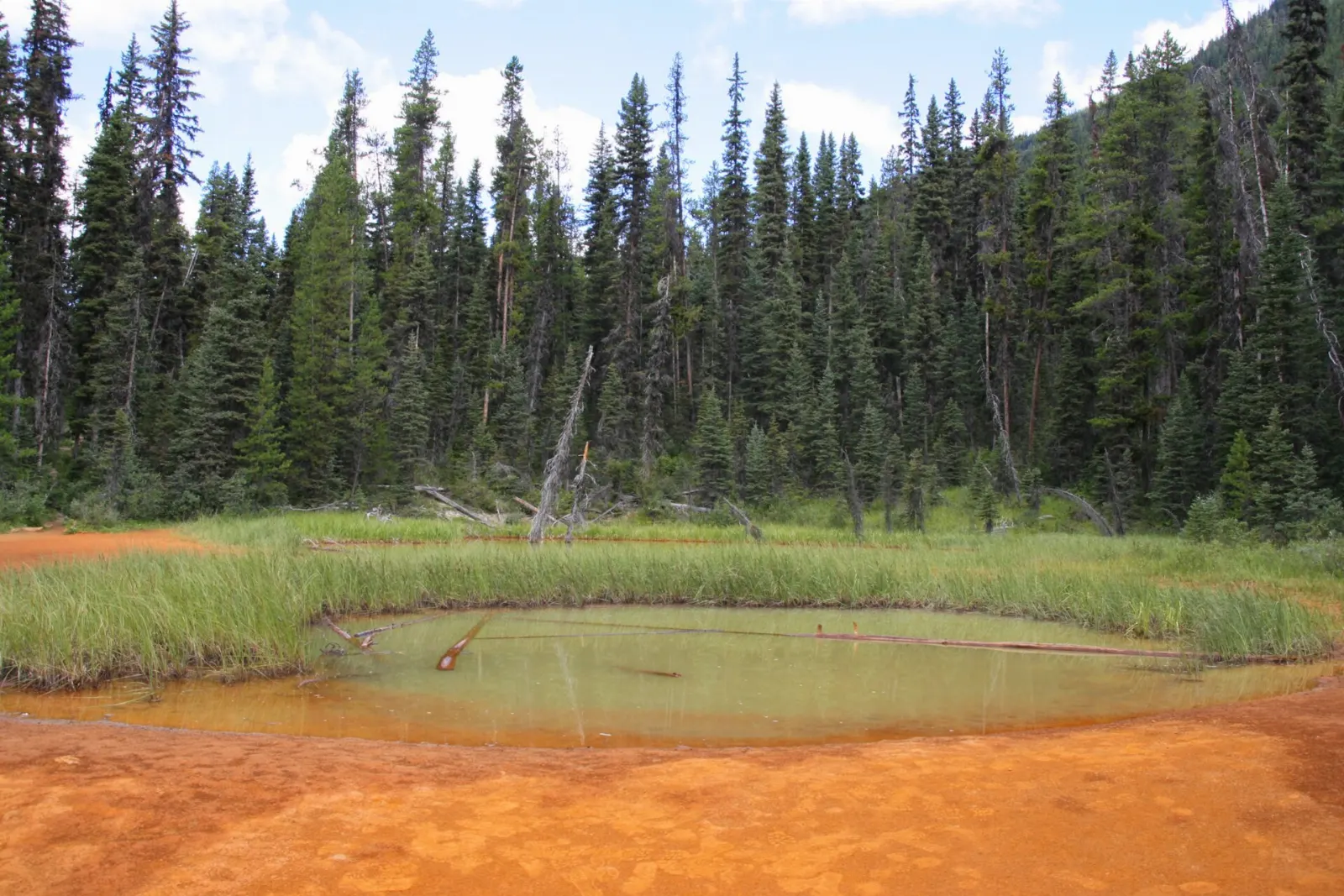 Colourful ground at the Paint Pots in Kootenay National Park, British Columbia