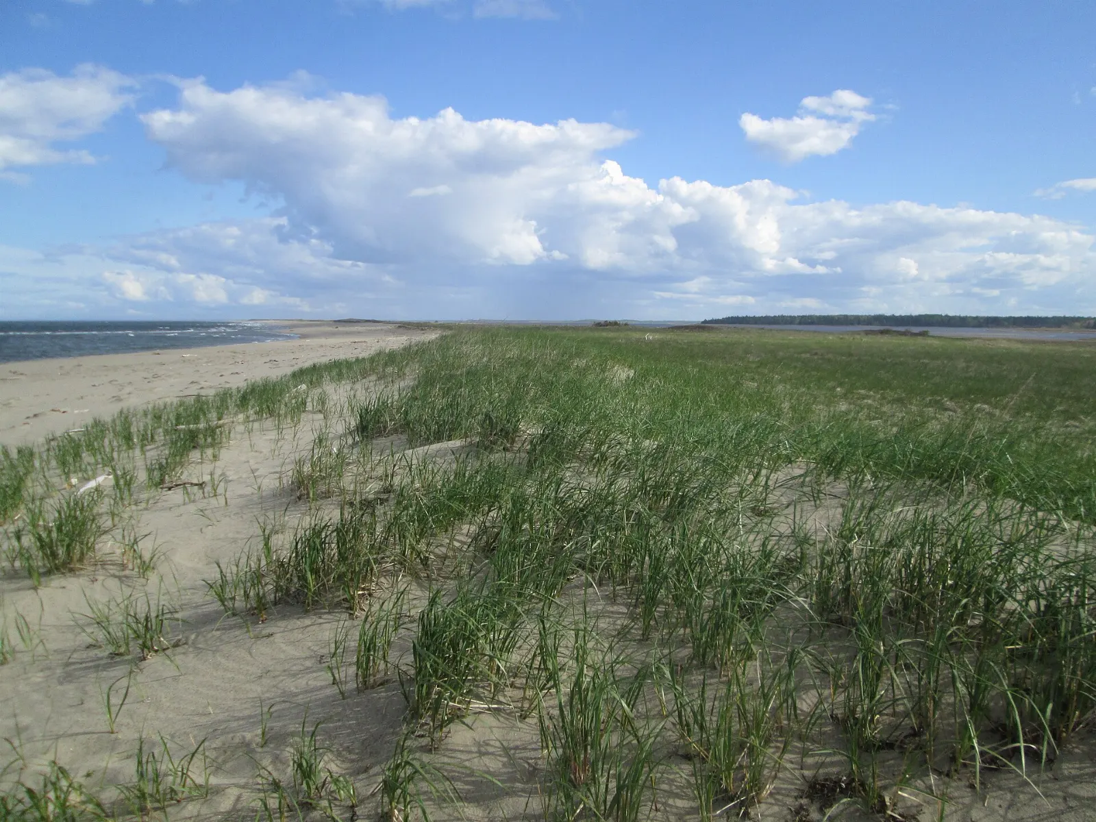 Kouchibouguac National Park, New Brunswick, Canada