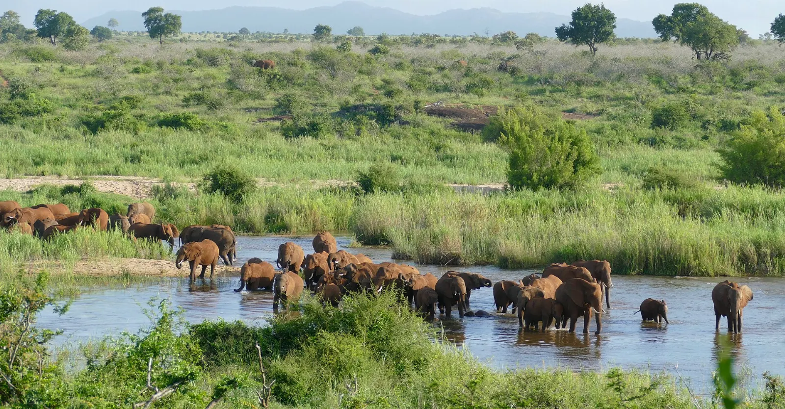Kruger National Park, South Africa