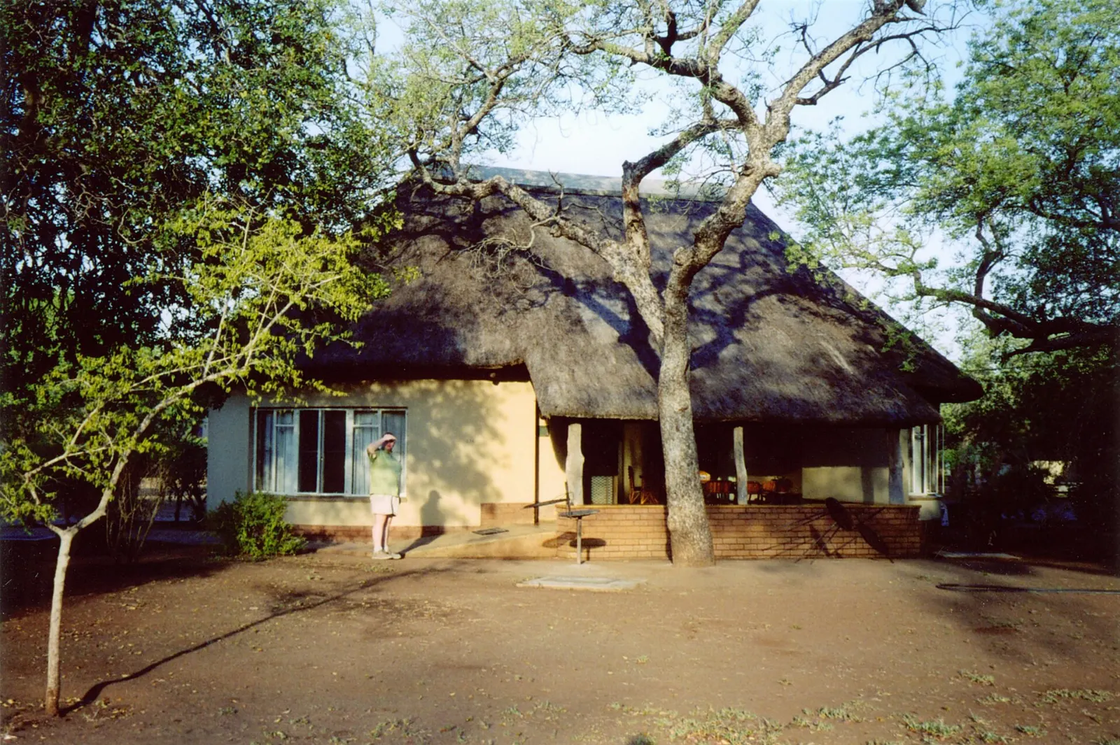 Open grassland plains near Satara in central Kruger, Kruger National Park, South Africa