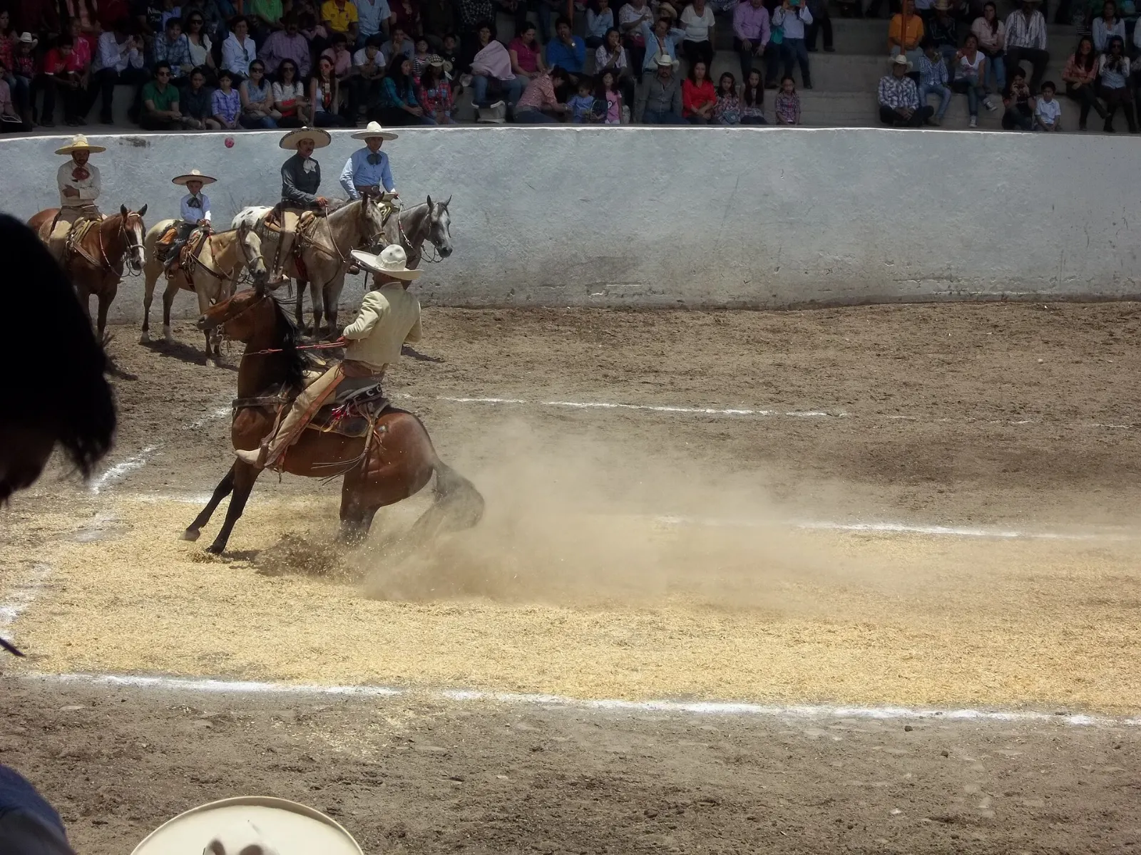 Rider on horseback on a ranch in Jalisco, Lagos de Moreno, Jalisco