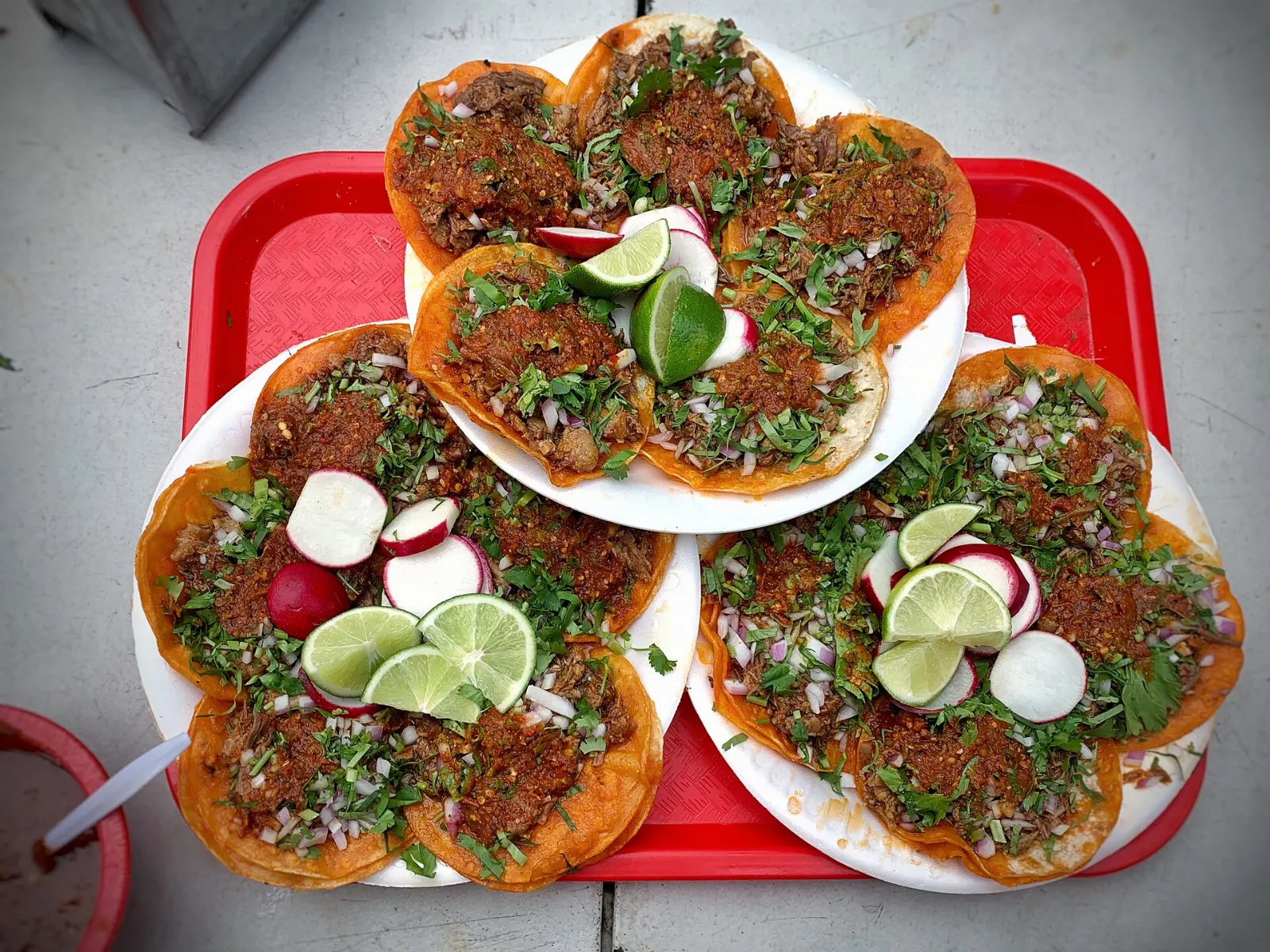 Bowl of birria stew with tortillas and broth, Lagos de Moreno, Jalisco