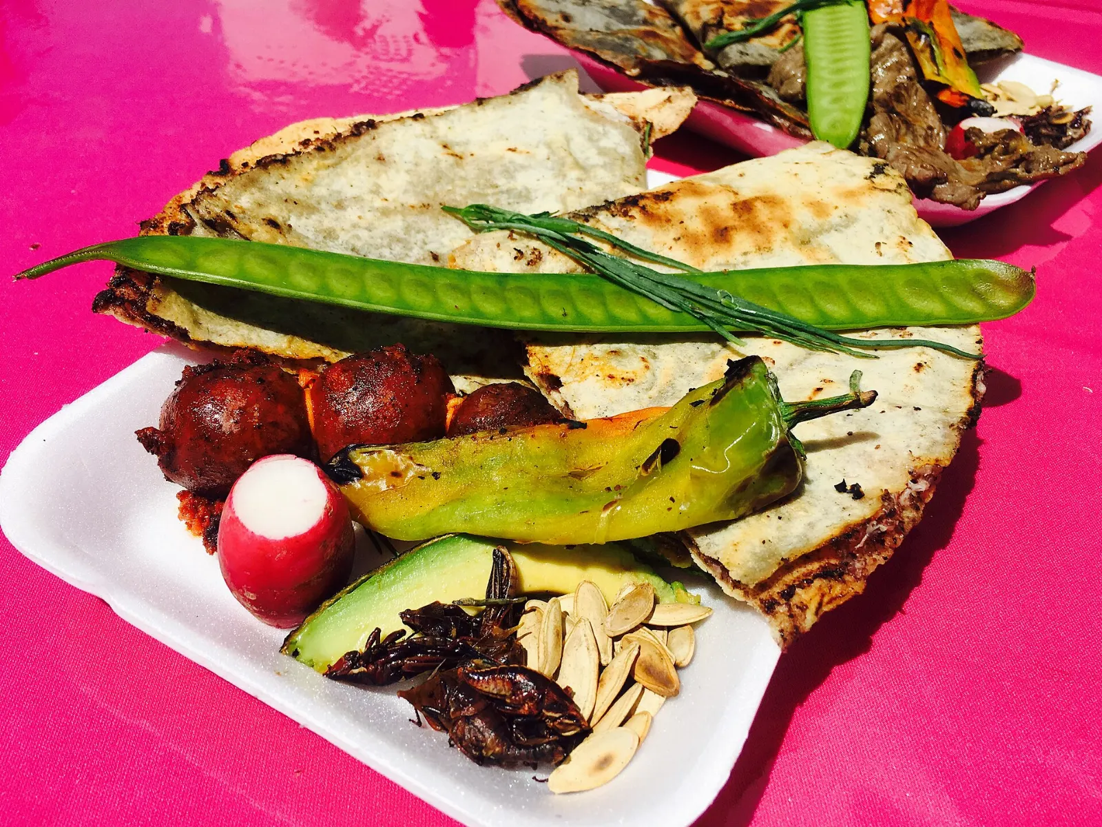 Tlayuda with toppings served on a plate, Lagunas de Chacahua, Oaxaca