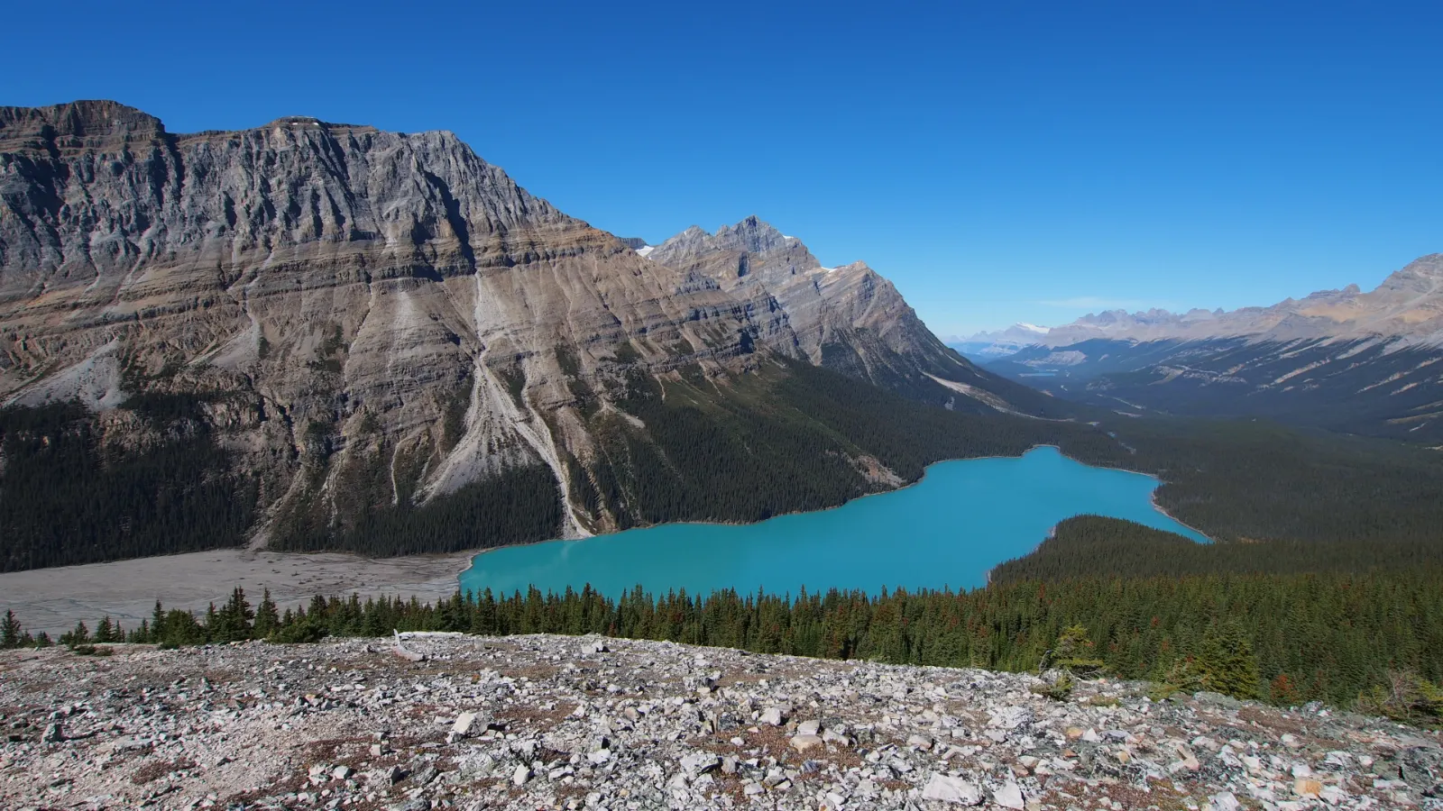 Peyto Lake seen from Bow Summit in turquoise tones, Lake Louise, Alberta