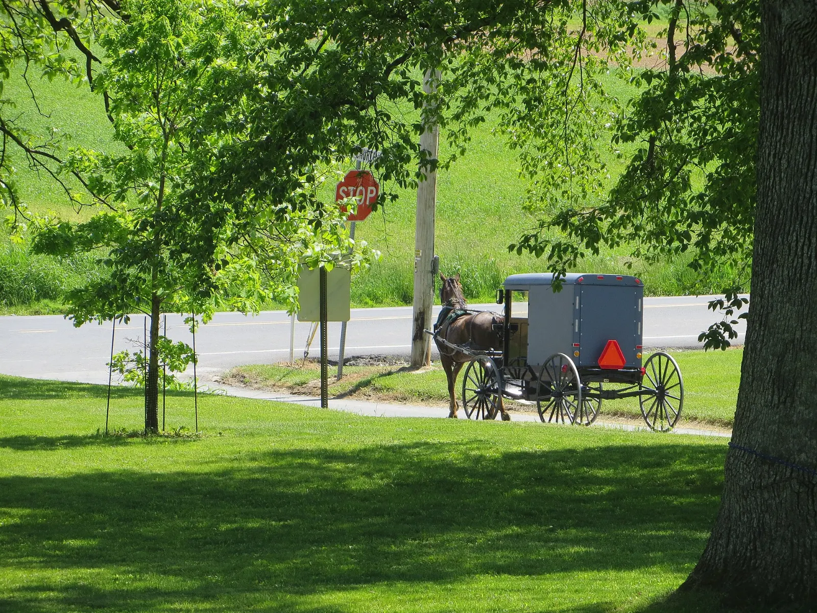 A gray Amish horse-drawn buggy traveling along a rural road between fields, Lancaster County, Pennsylvania