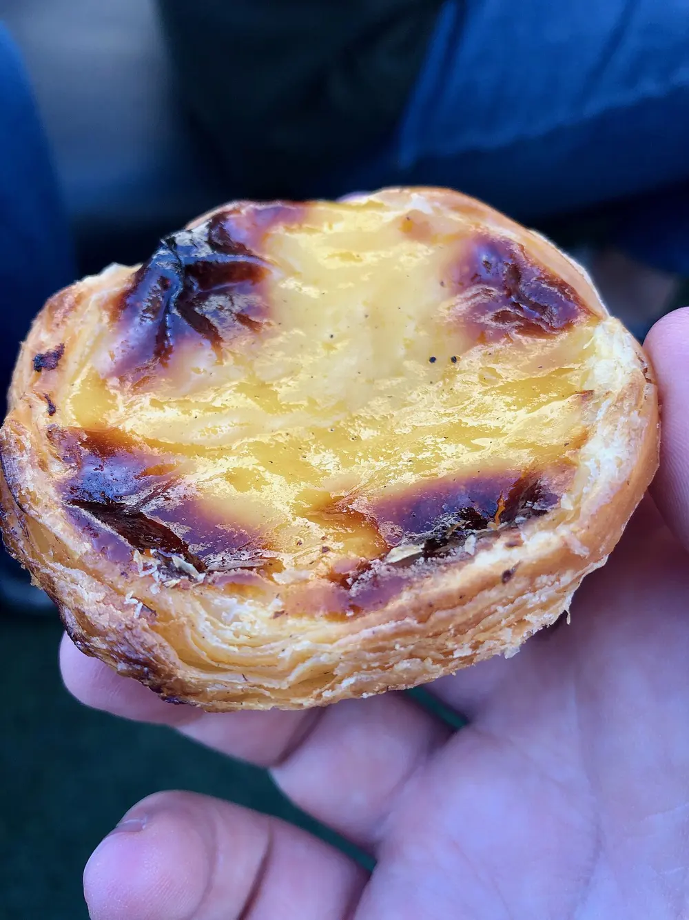 Pastel de nata in Lisbon, Portugal