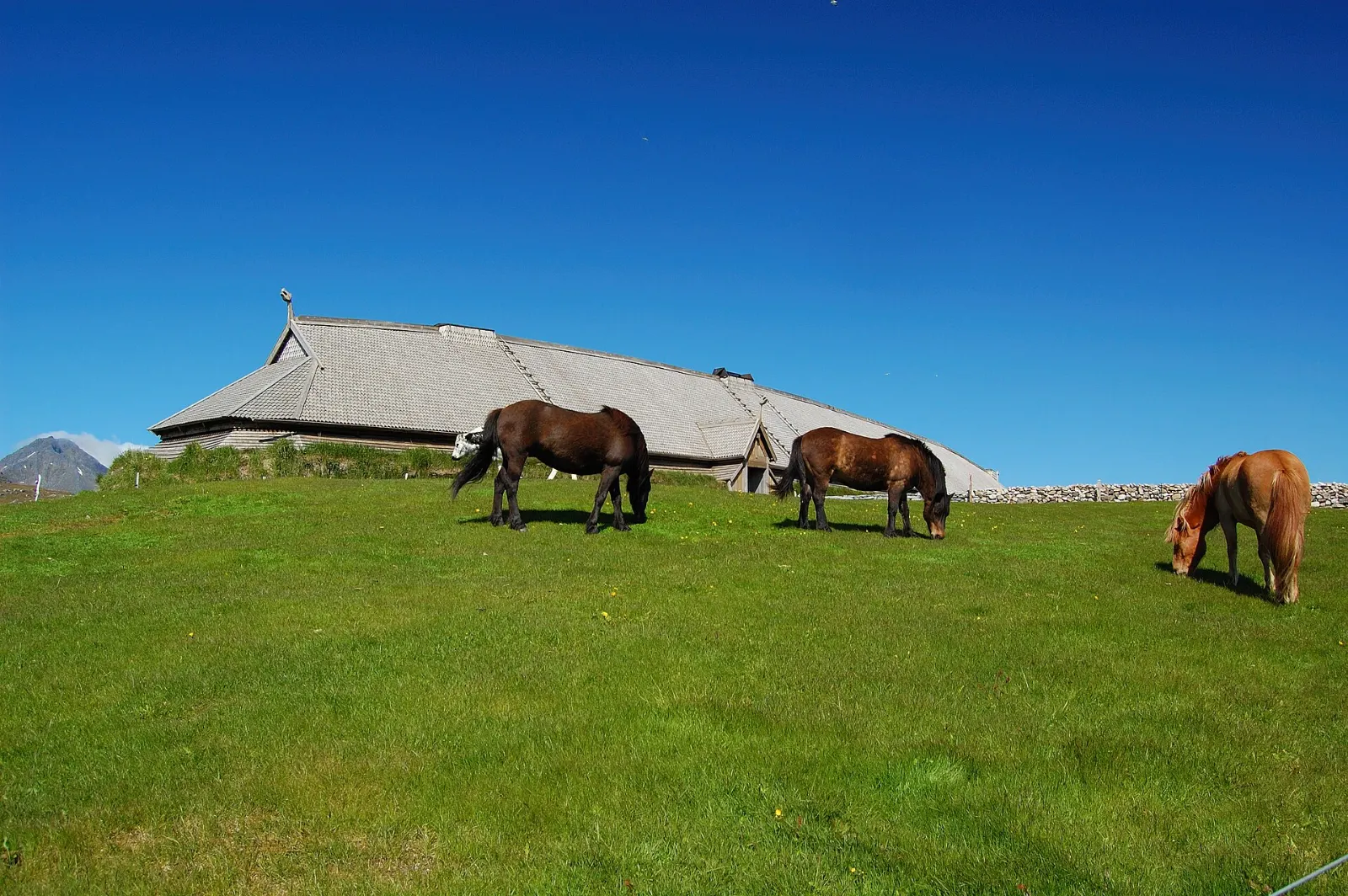 Lofotr Viking Museum at Borg, Lofoten Islands, Norway
