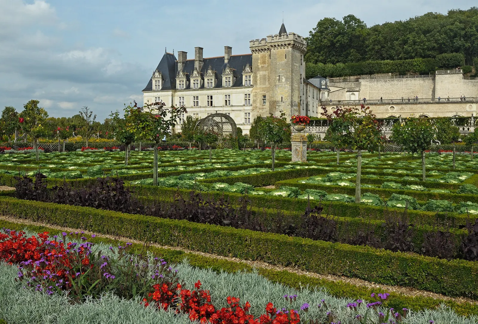 Geometric Renaissance-style gardens with clipped box hedges and vegetable beds below the Château de Villandry, Loire Valley, France