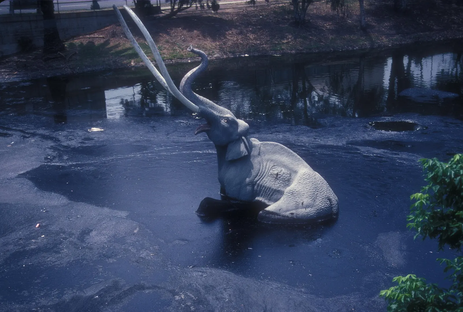 LACMA and the La Brea Tar Pits, Los Angeles, California, United States