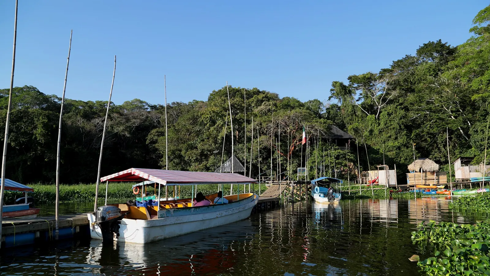 Jungle spring and hanging bridge at Nanciyaga reserve, Los Tuxtlas, Veracruz