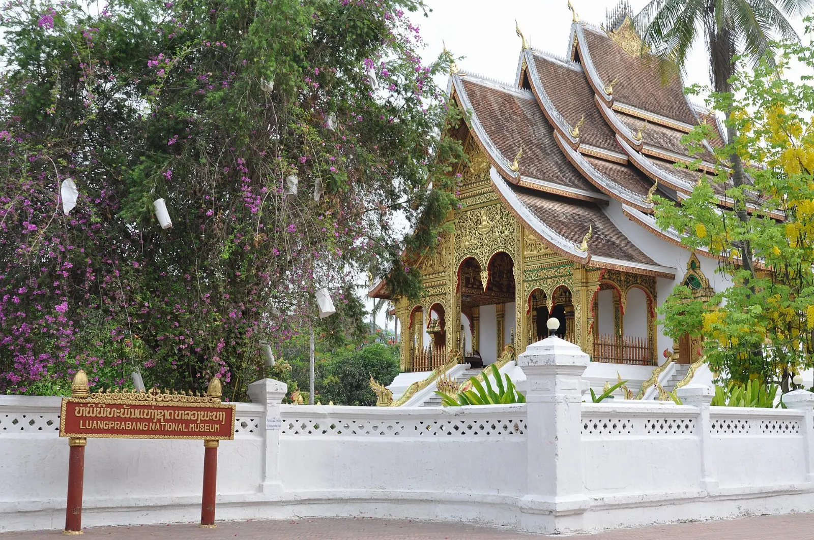Luang Prabang Morning Alms Round, Luang Prabang, Laos