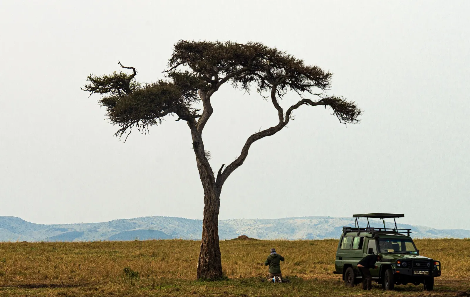 Maasai Mara, Kenya