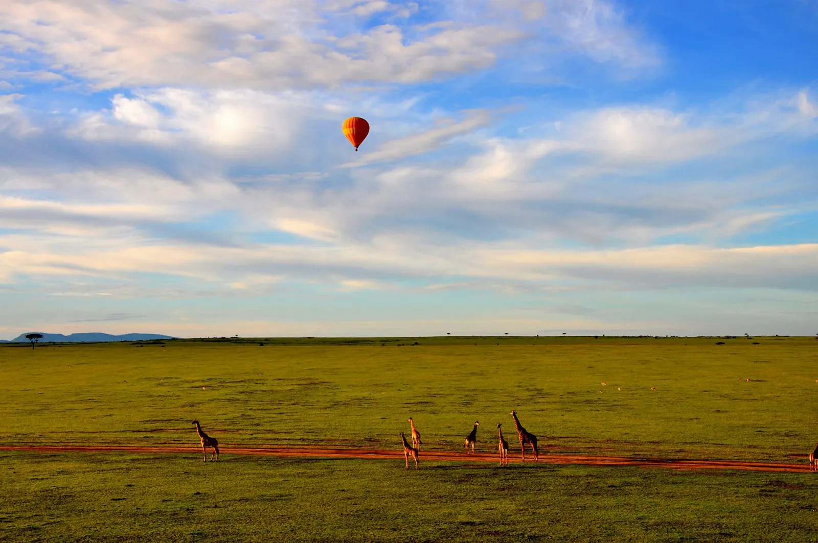 Maasai Mara hot air balloon safari, Maasai Mara, Kenya