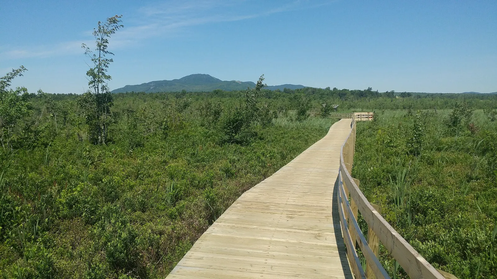 Boardwalk through the marsh near Magog, Quebec
