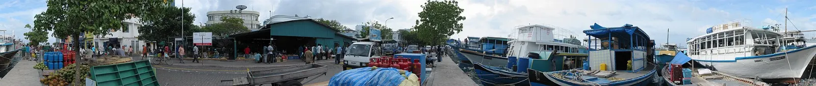 Rows of fresh tuna laid out on tiled tables at the fish market in Malé, Maldives