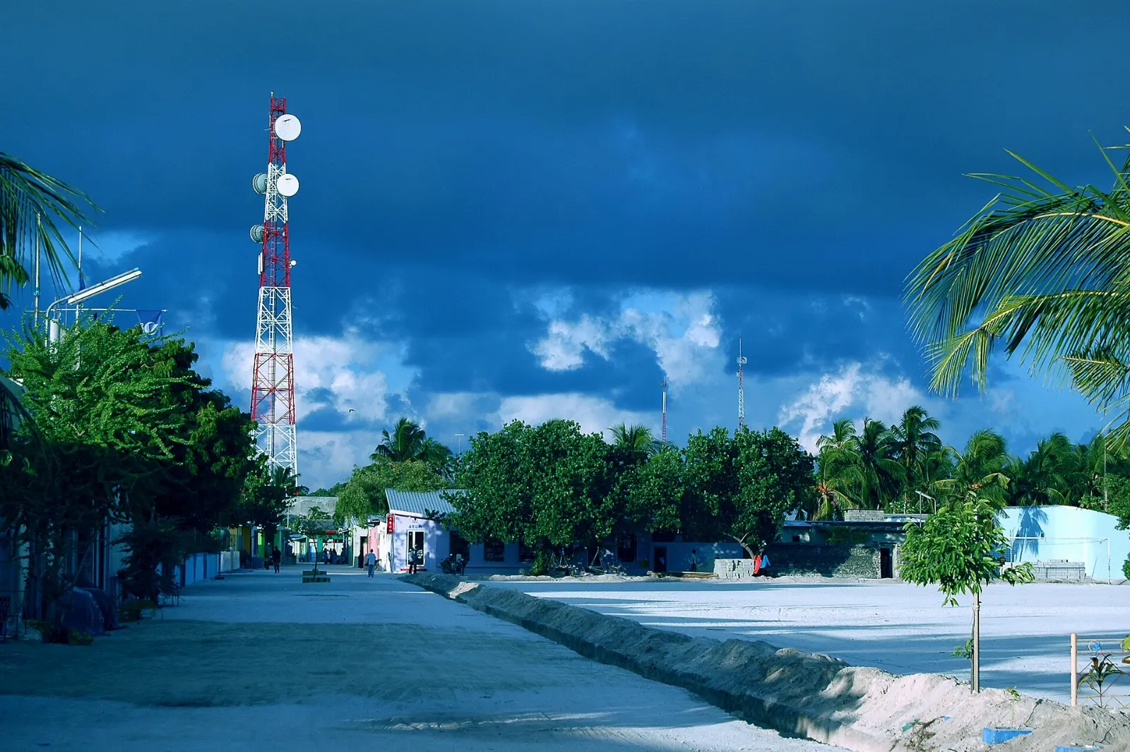 Guesthouses and palm trees beside a white sand beach on Maafushi island, Maldives