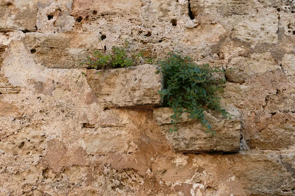 Alcúdia, Mallorca, Spain