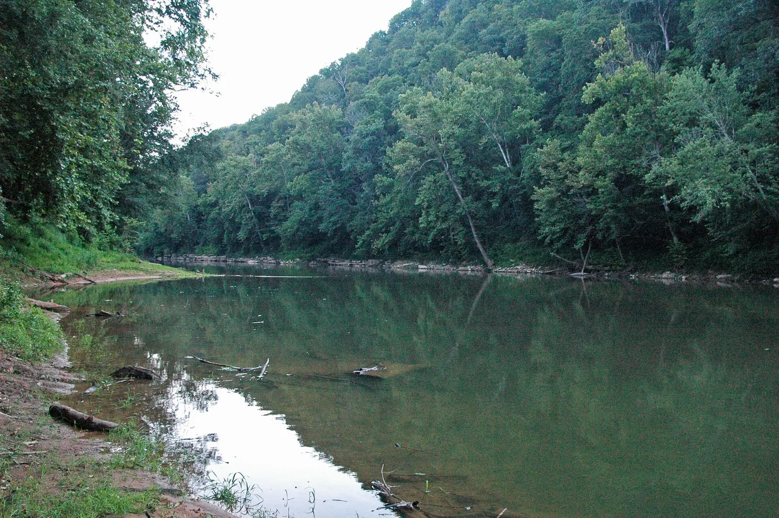The green waters of the Green River flowing between wooded banks, Mammoth Cave National Park, Kentucky