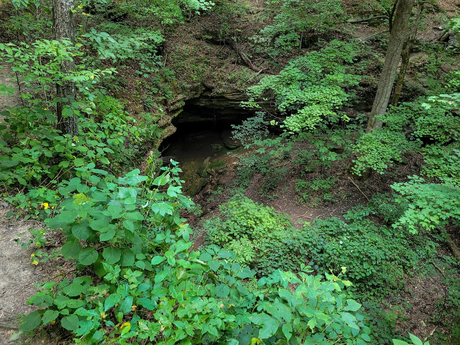 A sandstone rock shelter at the end of the Sand Cave boardwalk, Mammoth Cave National Park, Kentucky