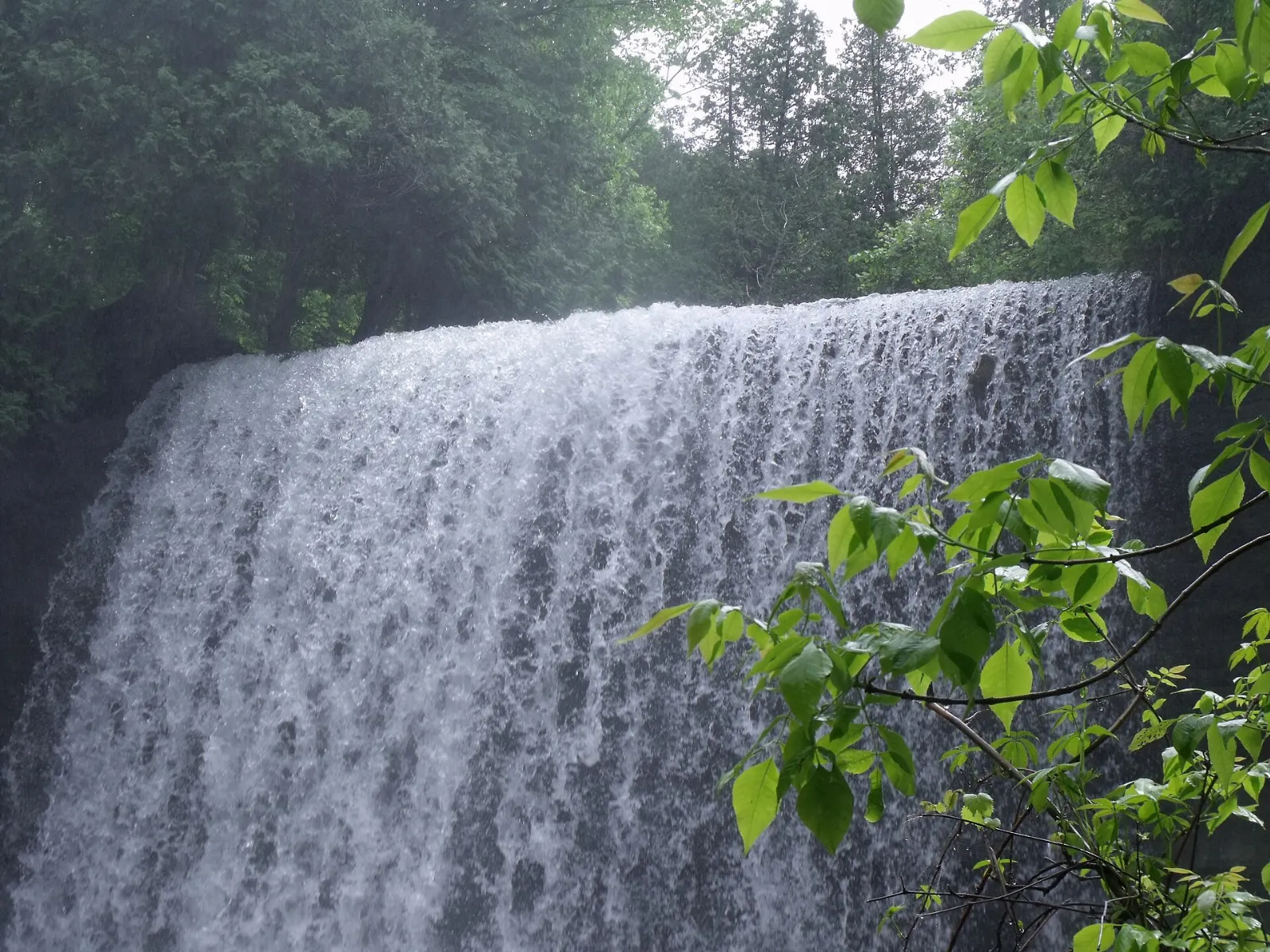 Bridal Veil Falls dropping over a ledge at Kagawong, Manitoulin Island, Ontario